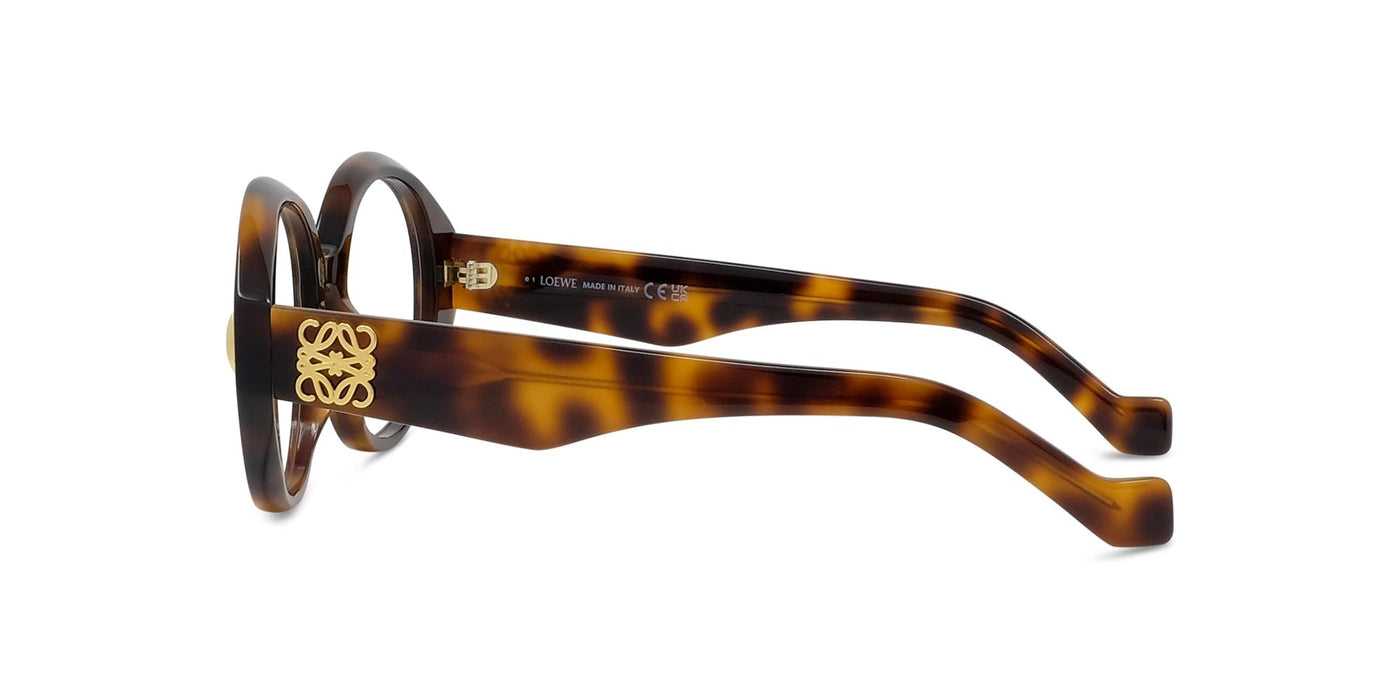 #colour_shiny-havana