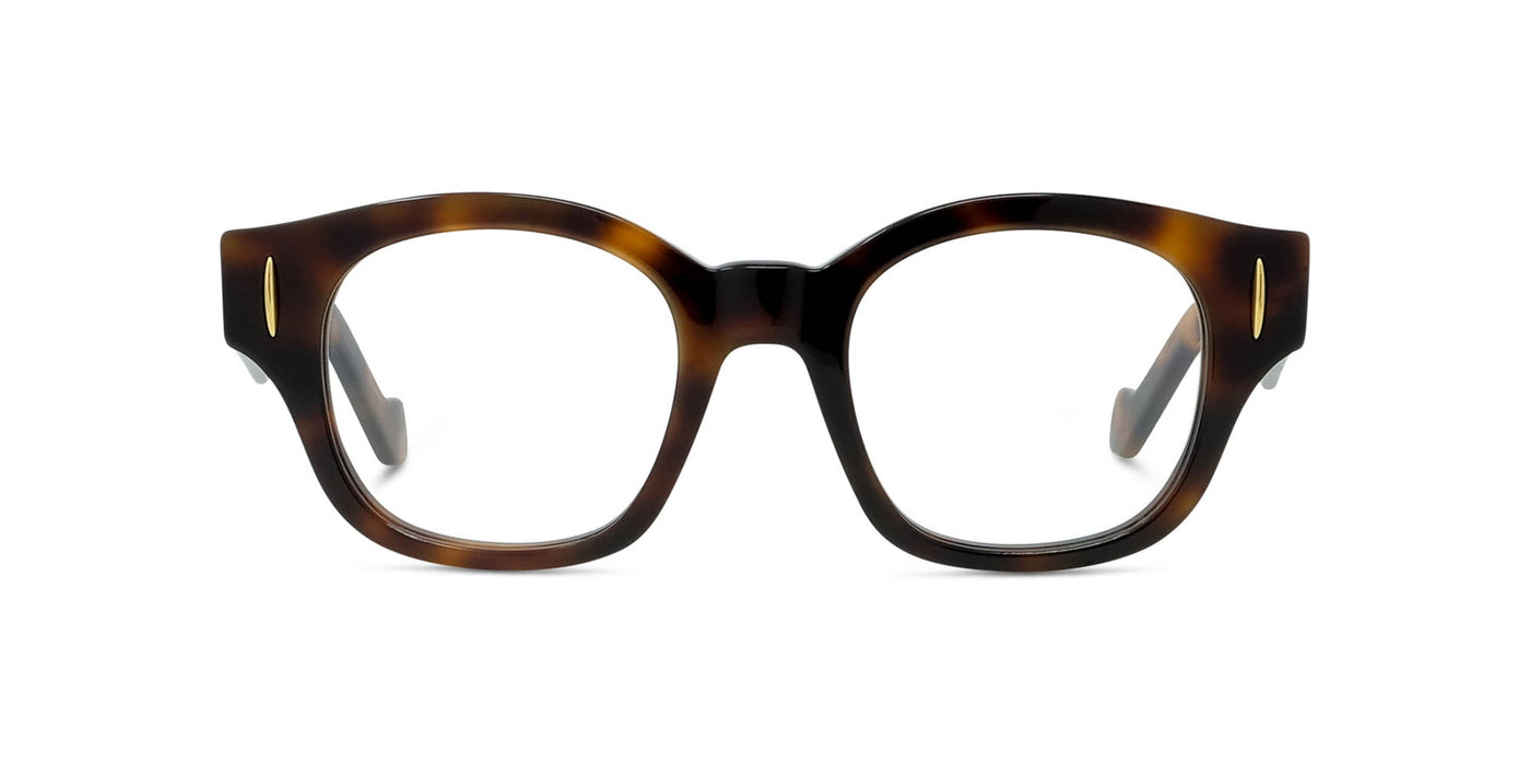 #colour_shiny-havana