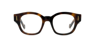 #colour_shiny-havana