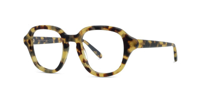 #colour_shiny-havana