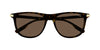  #colour_havana-brown