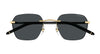 #colour_gold-grey