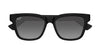 #colour_shiny-black-grey-polarised