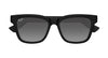 #colour_shiny-black-grey-polarised