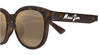 #colour_havana-brown-polarised