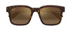 #colour_havana-brown-polarised