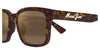 #colour_havana-brown-polarised