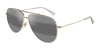 #colour_gold-grey-polarised