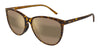 #colour_shiny-dark-havana-hcl-bronze