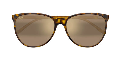 #colour_shiny-dark-havana-hcl-bronze