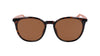 #colour_tortoise-brown