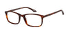 #colour_tortoise