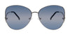 #colour_silver-blue-gradient