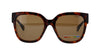 Polaroid PLD4167/S Havana/Polarised Brown #colour_havana-polarised-brown