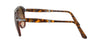#colour_brown-tortoise-brown-gradient