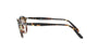 Round Tabacco Virginia Persol Sunglasses