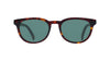 #colour_dark-havana-green