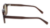 #colour_transparent-brown-green