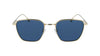 #colour_shiny-gold-blue