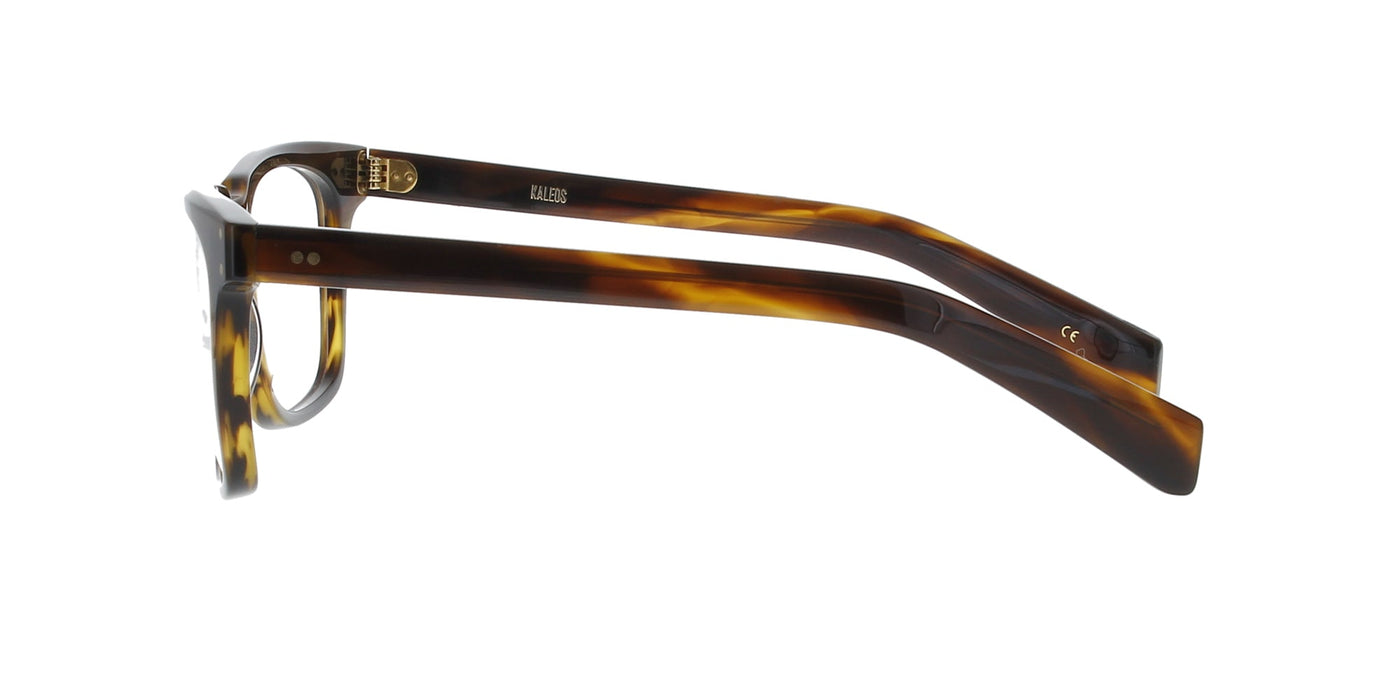 Dark Brown Tortoiseshell Havana Kaleos Frame