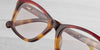 #colour_tortoise