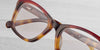 #colour_tortoise