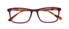 #colour_purple-tortoise