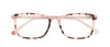 #colour_pink-tortoise