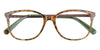 #colour_tortoise