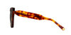 #colour_tortoise-brown