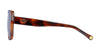 #colour_tortoise-brown-gradient