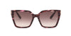 #colour_shiny-striped-bordeaux-brown-gradient