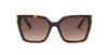 #colour_shiny-classic-havana-brown-gradient