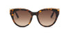 #colour_shiny-classic-havana-brown-gradient