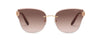 #colour_shiny-copper-gold-brown-gradient