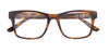 #colour_tortoise