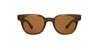 #colour_saddle-tortoise-pure-coffee