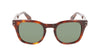 #colour_tortoise-green