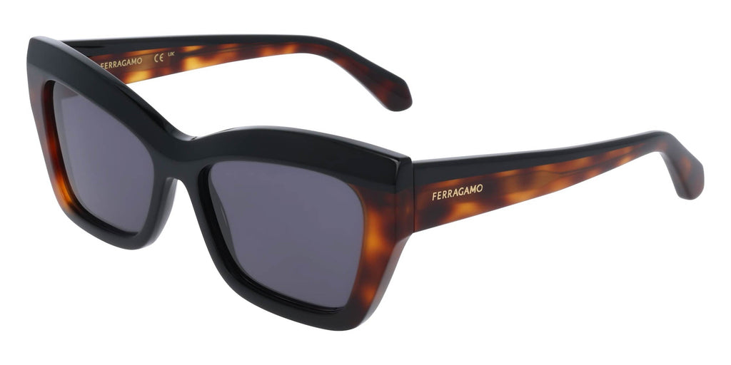 #colour_black-tortoise-blue