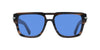 #colour_striped-brown-blue