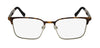 #colour_tortoise-gold