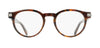 #colour_brown-tortoise