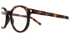 #colour_havana