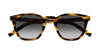 Saint Laurent SL 28 Havana/Grey #colour_havana-grey