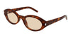 #colour_havana-brown
