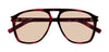 #colour_havana-brown