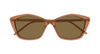 #colour_brown-brown