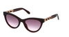 #colour_black-brown-gradient
