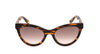 #colour_havana-brown-gradient