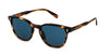 #colour_shiny-striped-brown-blue